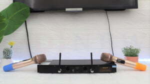 Micro Karaoke không dây DonBN U1880 | HDnew Audio