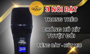 Micro Karaoke không dây HiMedia Home UHX7 | HDnew - Chia sẻ đam mê